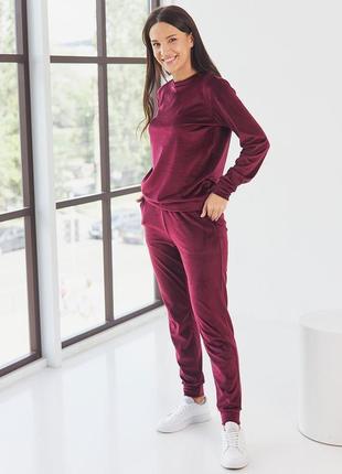 Жіночий стильний базовий велюровий спортивний костюм світшот і штани2 фото