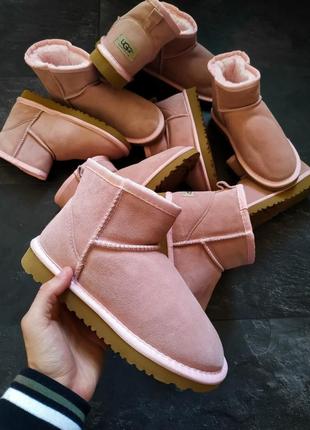 Ugg pink, уггі жіночі зимові, жіночі зимові угі з хутром9 фото