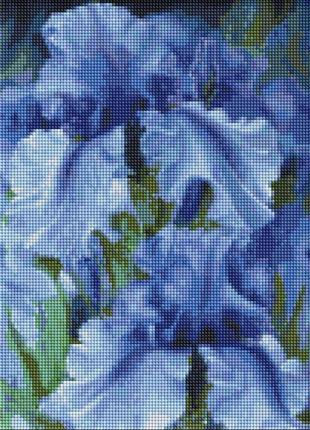 Алмазна мозаїка "блакитні іриси" ©юлія томеско ідейка amo7129 30х40 см