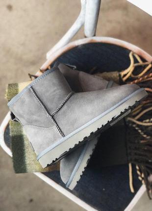 Зимние женские сапоги ugg mini grey suede с мехом /осень/зима/весна😍