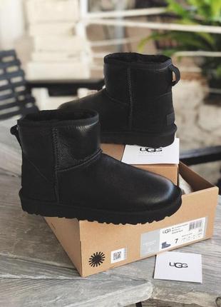 Женские сапоги ugg classic mini с натуральным мехом /осень/зима/весна😍