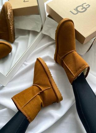 Угги ugg classic short caramel6 фото