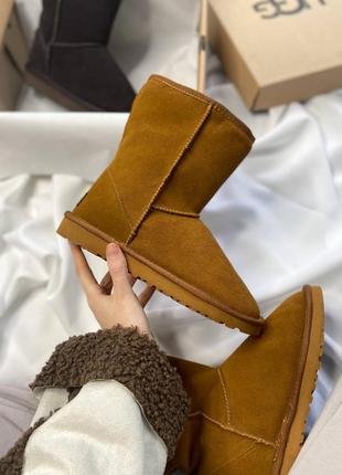 Угги ugg lowmel sneaker chestnut premium