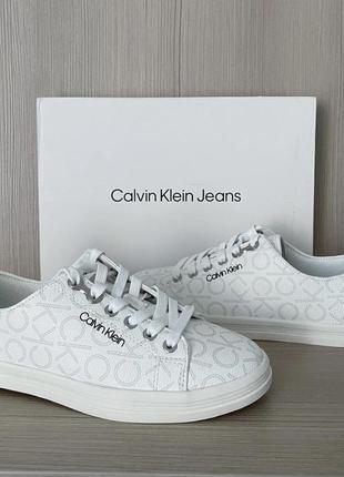 Кеды calvin klein