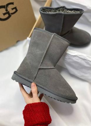 Угги ugg classic short gray