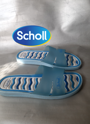 Шльопанцы scholl