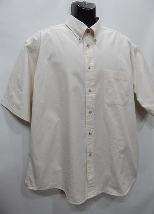 Чоловіча сорочка з коротким рукавом van heusen р.54 100дрбу (тільки в зазначеному розмірі, тільки 1 шт.)3 фото