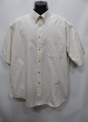 Чоловіча сорочка з коротким рукавом van heusen р.54 100дрбу (тільки в зазначеному розмірі, тільки 1 шт.)