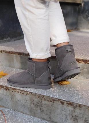 Шикарные женские зимние сапоги ugg mini ii grey /осень/зима/весна😍7 фото