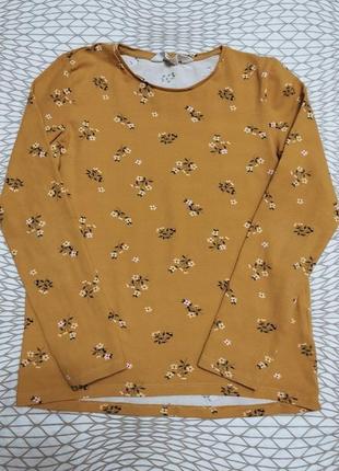 Кофта лонгслив