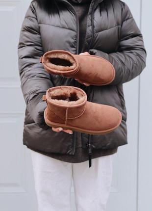 Распродажа! меховые женские сапоги ugg mini mole с натур мехом /осень/зима/весна😍7 фото