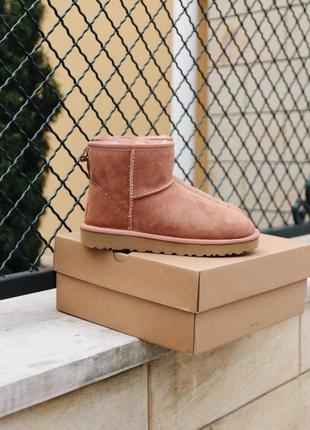 Распродажа! меховые женские сапоги ugg mini mole с натур мехом /осень/зима/весна😍10 фото