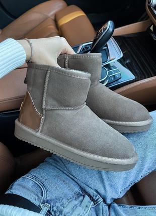 Уггі ugg classic mini1 фото