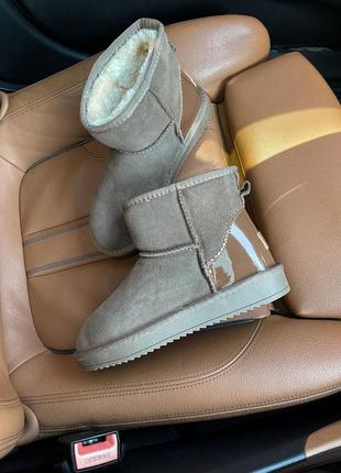 Уггі ugg classic mini4 фото