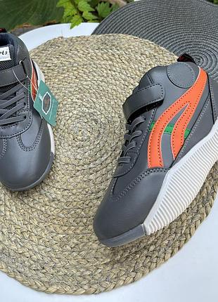 Хайтопи сірі