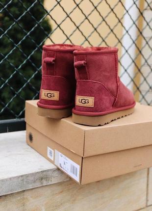 Розпродаж! жіночі зимові чоботи ugg mini cherry з натури хутром /осінь/зима/весна😍4 фото