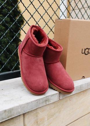 Распродажа! женские зимние сапожки ugg mini cherry с натур мехом /осень/зима/весна😍7 фото