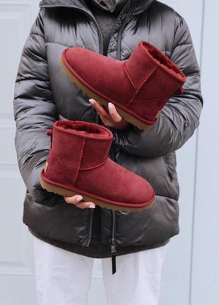 Распродажа! женские зимние сапожки ugg mini cherry с натур мехом /осень/зима/весна😍