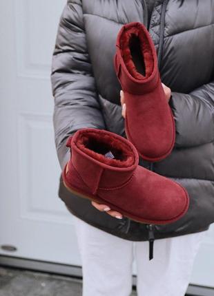 Розпродаж! жіночі зимові чоботи ugg mini cherry з натури хутром /осінь/зима/весна😍10 фото