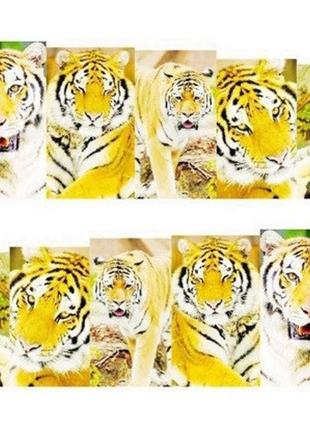 Наклейки для ногтей "леопардовые" yzw-1471