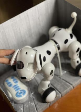 Игрушка робот собака на радиоуправлении 619  ,щенок на пульте,игрушка музыкальная,интерактивная