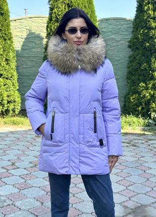 Зимняя куртка с мехом енота фиолет xl-6xl2 фото