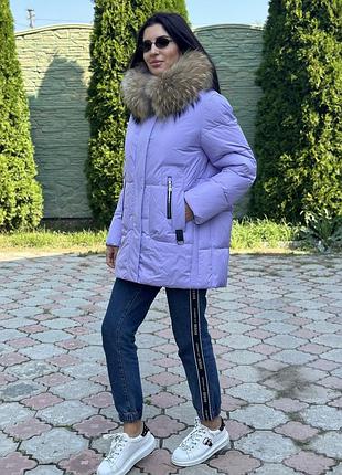 Зимняя куртка с мехом енота фиолет xl-6xl