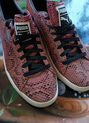 Качественные кроссовки от puma clyde snake (363247-02)4 фото