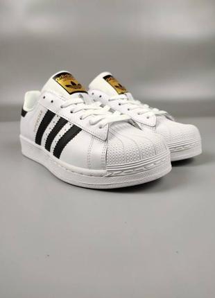 Adidas superstar white