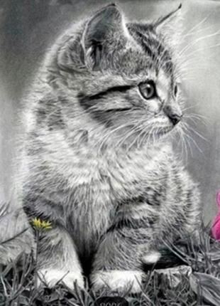 Набор алмазная мозаика вышивка серый котенок ищет друга кошка кот на подрамнике полная 5d 30х401 фото