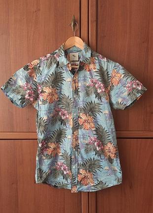 Мужская рубашка с коротким рукавом cedarwood state