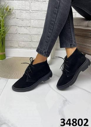 Стильні жіночі замшеві ботинки чорного кольору, трендові жіночі ботинки на шнурівці демісезон