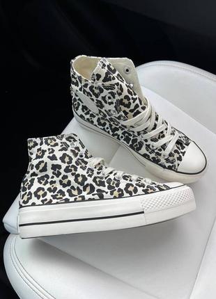 Женские кроссовки converse leopard5 фото