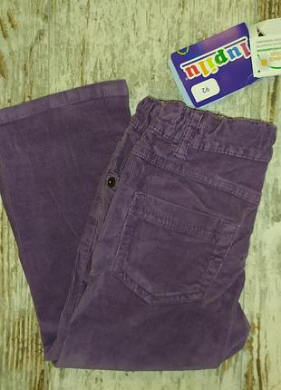 Брюки вельвет стрейч на 1,5-2 году ничевина