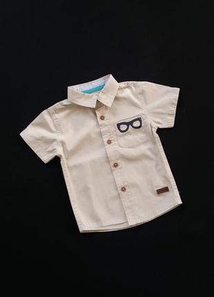 Рубашка с коротким рукавом lc waikiki на 9-12 месяцев (размер 80-86)