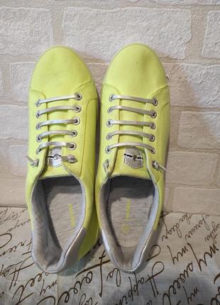 Кросівки, кеди від бренда graceland4 фото