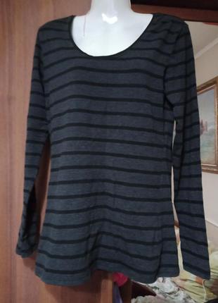 Свитшот, реглан