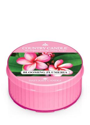 Ароматическая свеча country candle - blooming plumeria