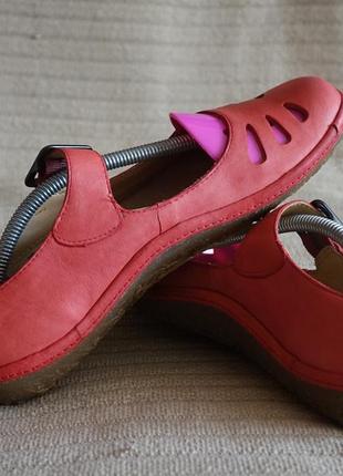 clarks