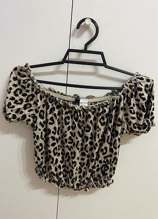 Топ леопард 🐆