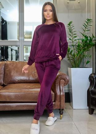 Комплект домашній велюровий 2-ка штани кофта слива 782