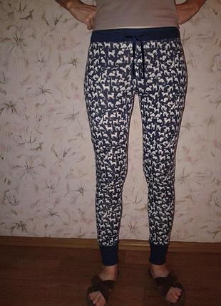 Штанці з з котиками, трикотаж