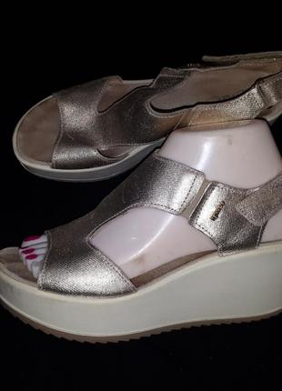 Босоножки igi&co