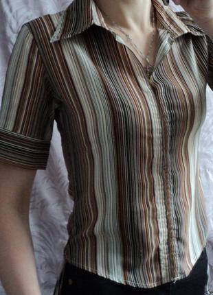 Блуза с коротким рукавом в полоску от kliman!1 фото