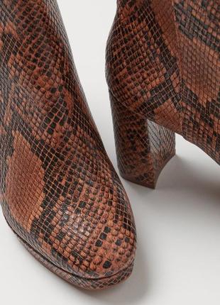Напівчоботи ботильйони черевиків черевики на осінь демісезонні рептилія h&amp;m5 фото