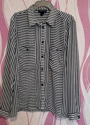 Жіноча блуза, блузка у смужки