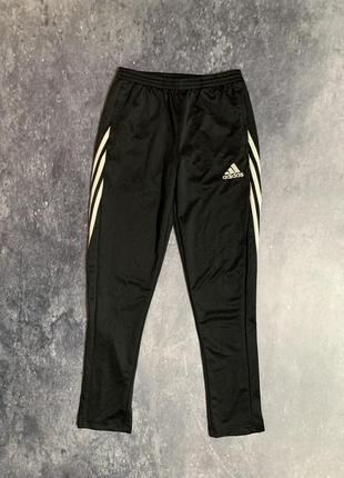 Спортивні штани чоловічі adidas strutter OTR