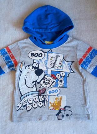 Реглан капюшонка скуби ду 2-3 года