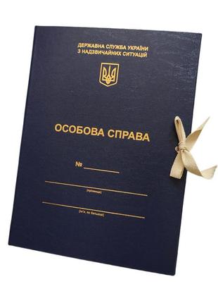Папка особова справа корінець 40мм із бумвінілу для державної служби україни нс з тисненням ф. а4, зав'язки синій