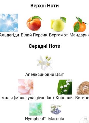 Valaya parfums de marly